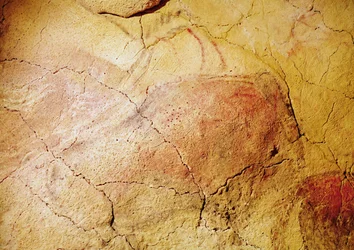 アルタミラ洞窟のバイソン、紀元前15000年頃（洞窟壁画）